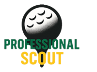 株式会社プロフェッショナルスカウト