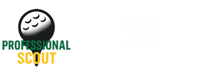 株式会社プロフェッショナルスカウト