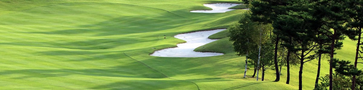 ゴルフ場での活躍